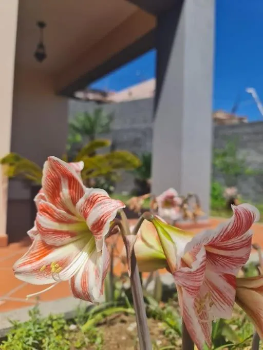 بيت للعطل فيلا Casa Da Portada سيكسال